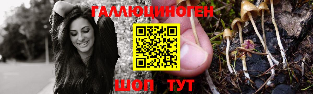 Галлюциногенные грибы Psilocybine cubensis  Псилоцибиновые грибы мухоморы  Вход с VPN  Когалым 